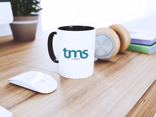 TMS Construction